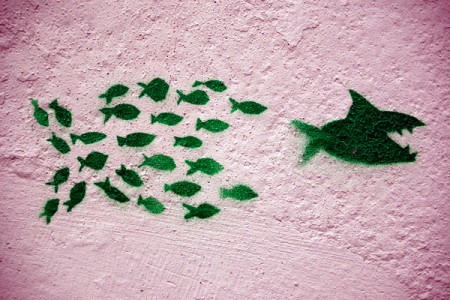 Große Fische, kleine Haie